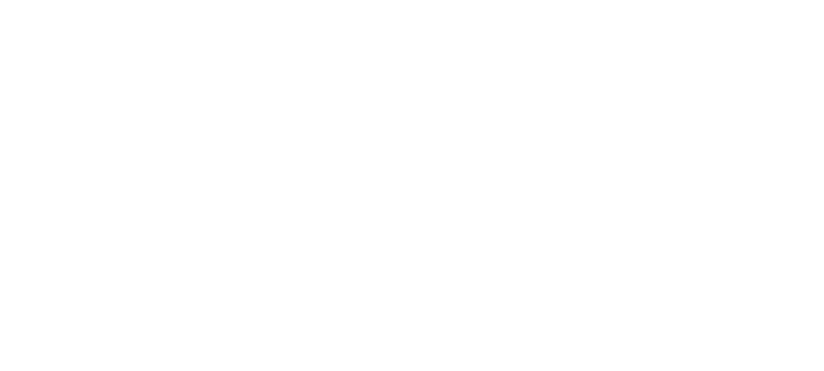 The Muddy Goose